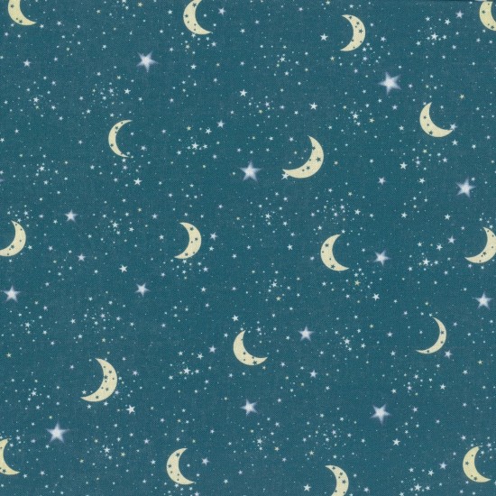 Winter Moonlight